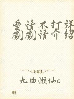 爱情不打烊电视剧剧情介绍封面