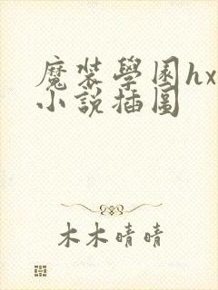 魔装学园hxh小说插图封面