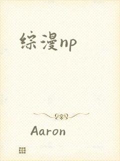 综漫np