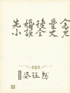 先婚后爱余慧慧小说全文免费阅读