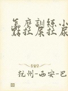 怎么训练小狗定点拉屎拉尿