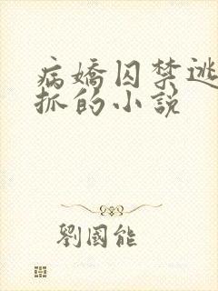 病娇囚禁逃跑被抓的小说