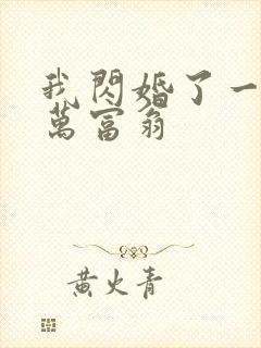 我闪婚了一个亿万富翁