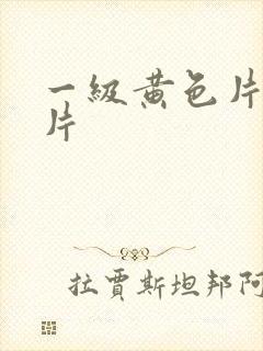 一级黄色片录像片