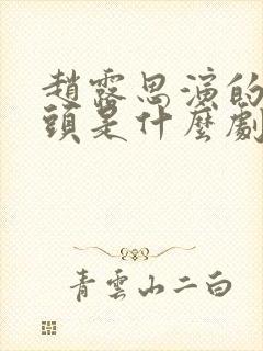 赵露思演的孙头头是什么剧封面