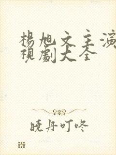 杨旭文主演的电视剧大全