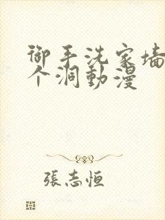 御手洗家墙上有个洞动漫封面