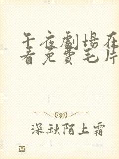 午夜剧场在线观看免费毛片封面