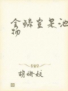 金鳞岂是池中之物封面