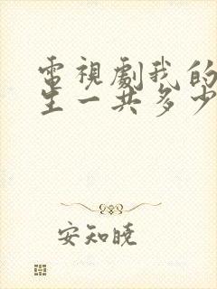 电视剧我的后半生一共多少集