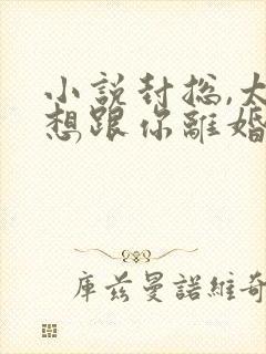 小说封总,太太想跟你离婚很久了在线阅读封面