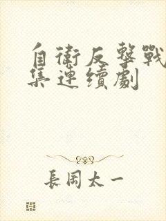 自卫反击战40集连续剧