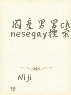 国产男男chinesegay搜索