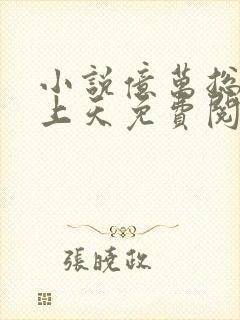 小说亿万总裁宠上天免费阅读