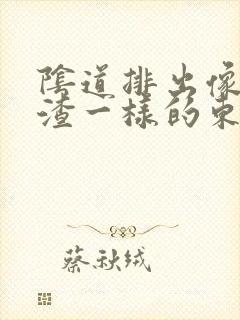 阴道排出像豆腐渣一样的东西是什么情况