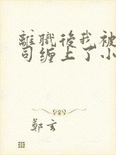 离职后我被前上司缠上了小说下载