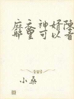 麻衣神婿陈黄皮哪里可以看