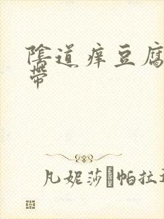 阴道痒豆腐渣白带