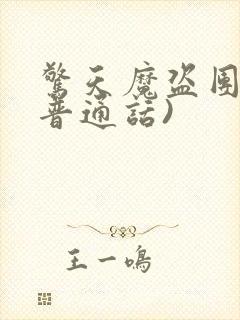 惊天魔盗团2(普通话)封面