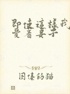 即使这样我依然爱着妻子封面