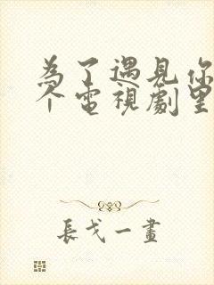 为了遇见你是哪个电视剧里的歌