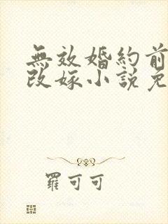 无效婚约前妻要改嫁小说免费阅读全文