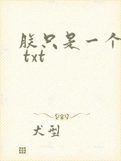 朕只是一个演员 txt