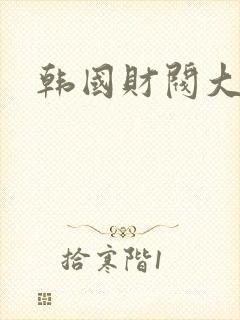 韩国财阀大尺度
