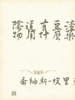 阴道有豆渣分泌物用什么药