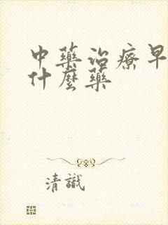 中药治疗早射吃什么药