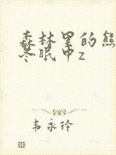 森林里的熊先生冬眠中z