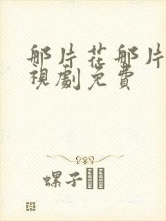 那片花那片海电视剧免费封面