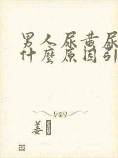 男人尿黄尿痛是什么原因引起的