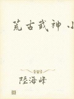 荒古武神 小说封面