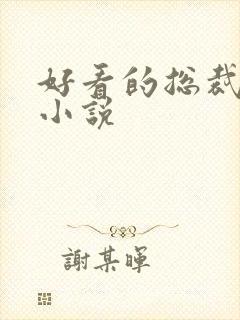 好看的总裁完结小说封面