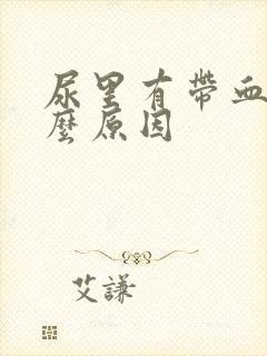 尿里有带血是什么原因