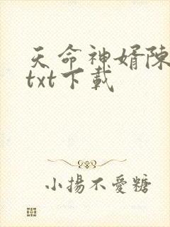 天命神婿陈黄皮txt下载