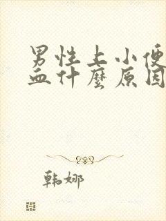 男性上小便痛有血什么原因