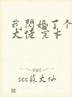 我闪婚了个财阀大佬 完本