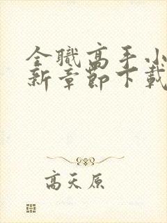 全职高手小说最新章节下载