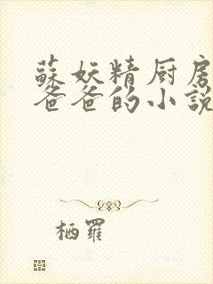 苏妖精厨房爹爹爸爸的小说封面