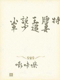 小说王牌特战之军少追妻