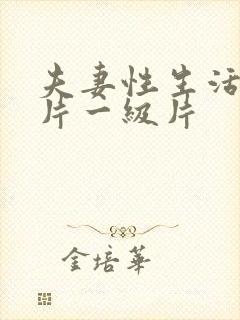 夫妻性生活黄色片一级片封面