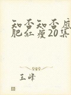 知否知否应是绿肥红瘦20集