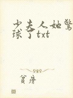 少夫人她惊艳全球了txt