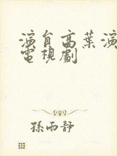 演员高叶演过的电视剧封面