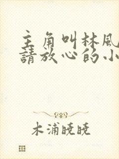 主角叫林风道友请放心的小说封面