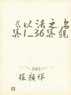 《以法之名》全集1_36集观看