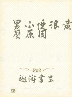 男小便很黄是什么原因