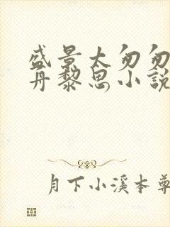 盛景太匆匆沈砚舟黎思小说